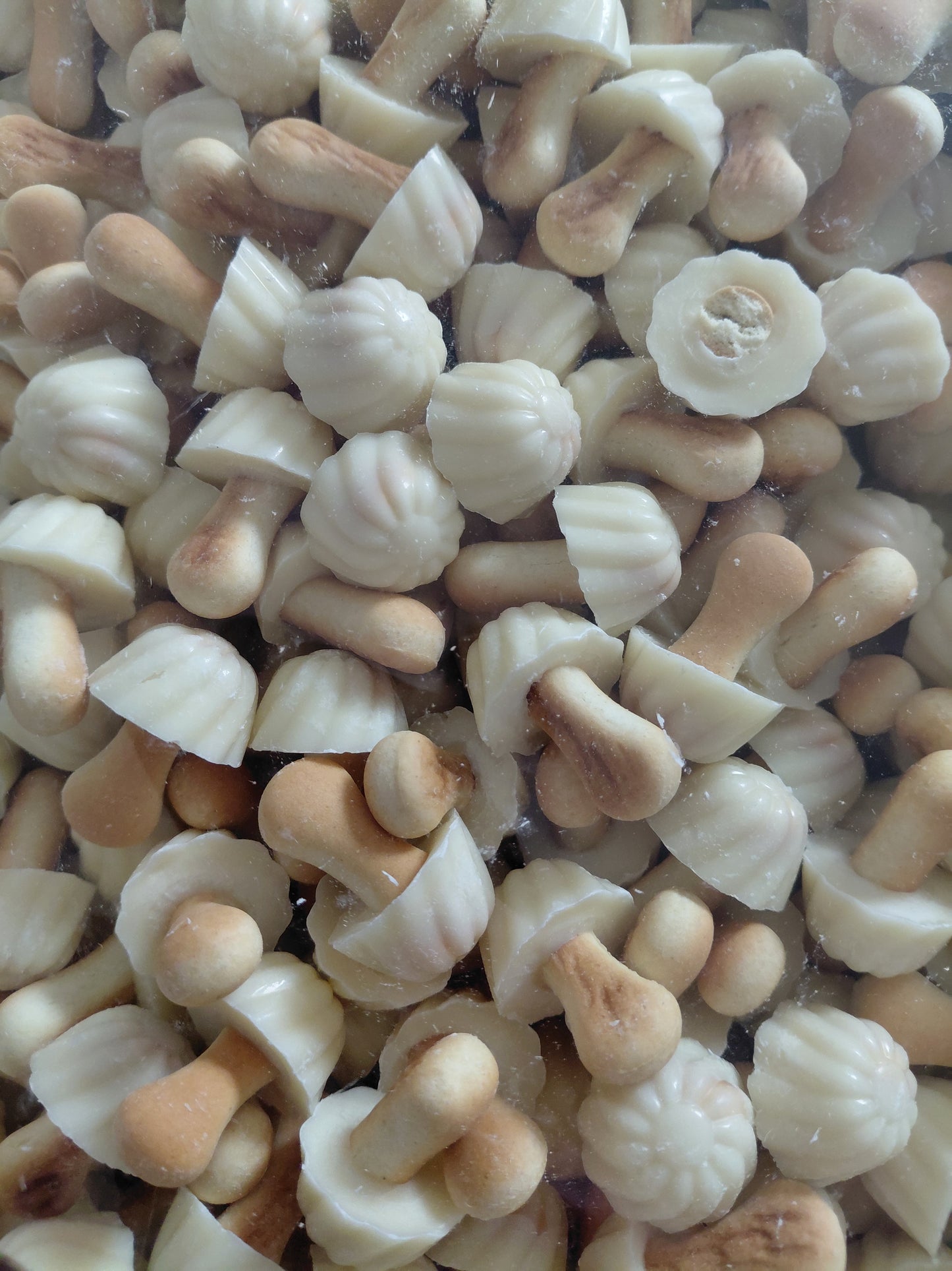 Champignons au chocolat blanc