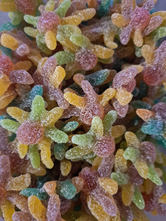 OCTOPUS pieuvre acidulée