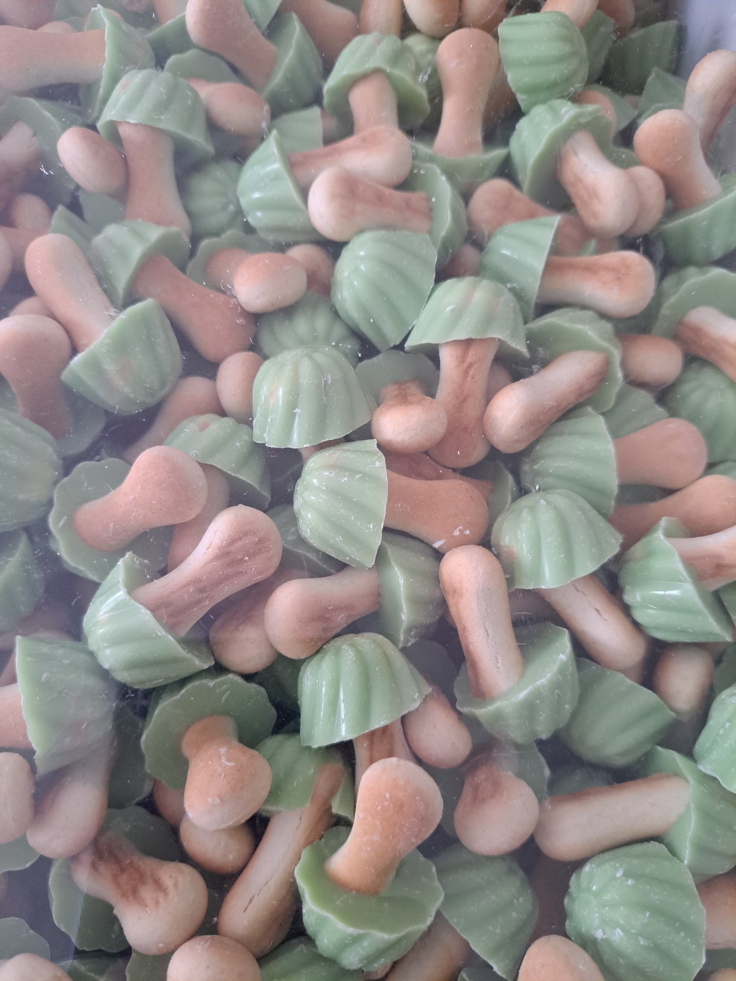 Champignons pistache