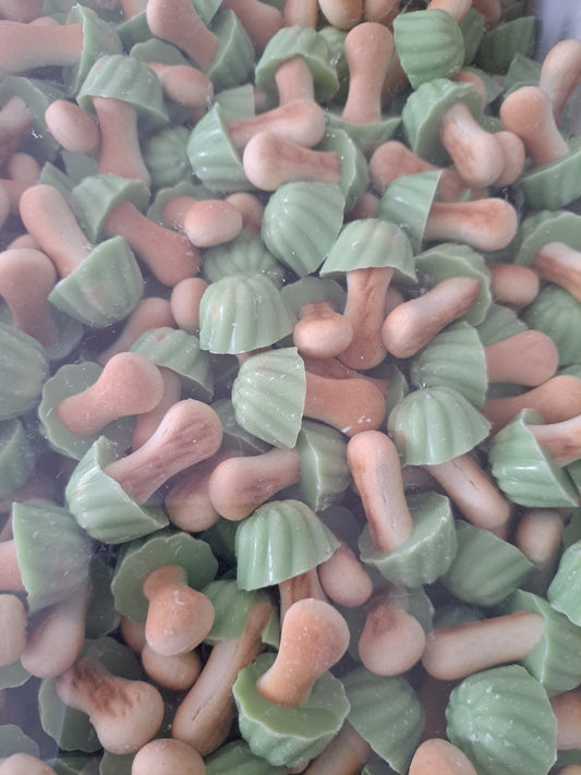 Champignons pistache
